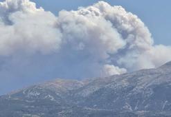 Suriye'de sınıra yakın bölgede orman yangını