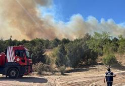 Kocaeli’de ağaçlık alanda çıkan yangın kontrol altında