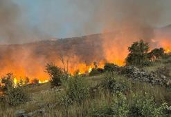 Gabar Dağı'ndaki orman yangını 11 saatte kontrol altında