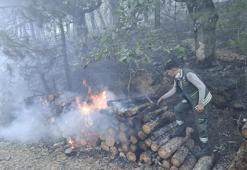 Motorlu testerenin egzozundan sıçrayan kıvılcım ormanı yakmış: 1 tutuklama