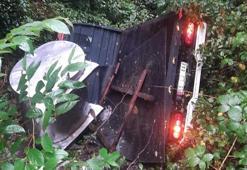 Kamyon şarampole yuvarlandı; 2 yaralı