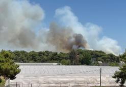 Antalya'da orman yangını kontrol altında