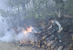 Motorlu testerenin egzozundan sıçrayan kıvılcım ormanı yakmış: 1 tutuklama