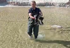 Yaralı leyleği itfaiye ekipleri kurtardı