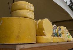 Yağmur altında Ulusal Kaşar ve Kültür Festivali