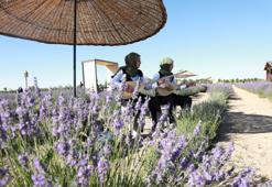 Konya’da 4’üncü Lavanta Günleri başladı