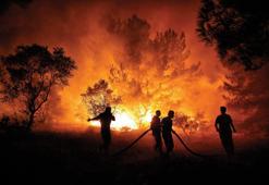 ‘İklim değişikliği yangın riskini ve zararını artırdı’
