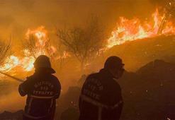 İzmir'de orman yangınları sonrası yangın sigortasına talep arttı