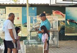 Caretta caretta müzesine ilgi