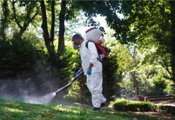 Şişli’de kene ve sineklere karşı etkin mücadele
