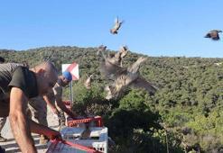 İzmir'de 'kınalı keklikler' doğaya salındı