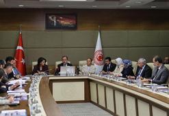 Engelli Bireylerin Sorunlarını Araştırma Komisyonu toplandı