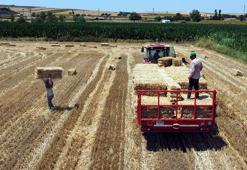 Edirne'de hasadın tamamlandığı tarlalarda kavurucu sıcakta balya mesaisi