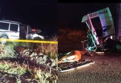 Hafif ticari araç, yola çıkan geyiğe çarptıktan sonra kamyonla çarpıştı; 1 ölü, 1 yaralı