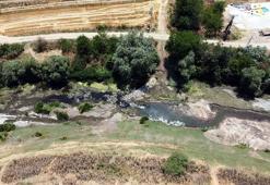 Tunca Nehri'nin kuruma noktasına geldiği Edirne’de çeltik üreticisi endişeli