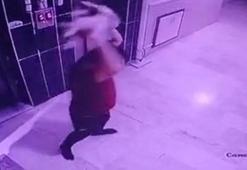 Kediyi yere fırlatan şüpheliye gözaltı