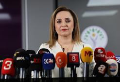 DEM Parti'li Doğan: Silahların tümden devre dışı kalması için ilk adıma hazırlanılıyor