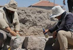 İç Anadolu'nun en büyük mozaik kazı çalışmasında, yeni mozaiklere rastlandı