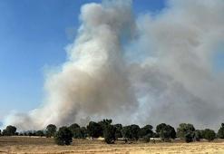 Uşak’ta tarım arazisinde çıkan yangın ormana sıçradı