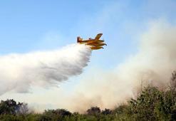 Kırklareli'de anız yangını ormana sıçradı