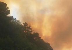 Çanakkale’de orman yangını; Kaz dağlarında kapanan köy yolları ulaşıma açıldı