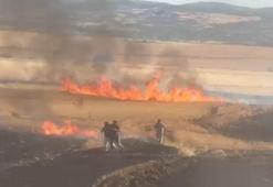 Çorum'da buğday tarlasındaki yangında 30 dönüm alan zarar gördü