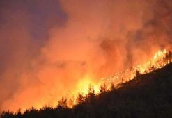 'İzmir'de yanan bölgelerde minimum 30 kuş türü etkilendi'