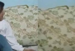 Yüksekova'da tek katlı evde yılan kabusu