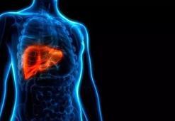 'Marjinal' organ nakilleri için perfüzyon cihazı