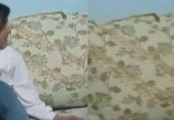 Yüksekova'da tek katlı evde yılan kabusu