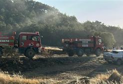 Uşak’ta tarlada çıkıp ormana sıçrayan yangın 11 saatte kontrol altına alındı