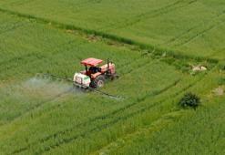 Ülker ve Sabancı Üniversitesi'nden buğday için iş birliği