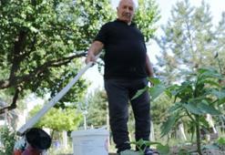 Huzurevinde, hobi bahçelerinde ürün yetiştirip moral buluyorlar
