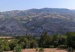 Balıkesir'deki orman yangını 2'nci gününde