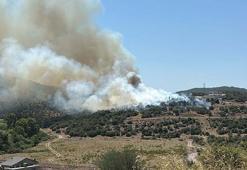 Muğla'da tarım arazisindeki yangın kontrol altında