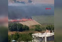 Büyükçekmece'de buğday tarlasında yangınBüyükçekmece'de buğday tarlasında yangın