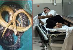 Öldürdüğü bacağını ısıran yılan ile hastaneye gitti