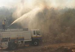 Lazkiye'deki orman yangınları kontrol altına alınmaya başladı