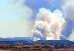 Edirne'de orman yangını