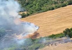 Manyas'taki orman yangını kontrol altında