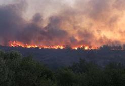 'Yangında atmosfere yayılan kirleticiler, sağlık açısından en riskli kirletici grubunu oluşturur'