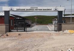 Kütahya'ya 20 bin kapasiteli hayvan barınağı