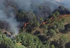 İtalya'nın Sardinya Adası'nda 20 farklı noktada orman yangını çıktı