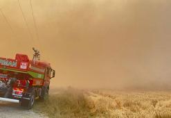 Bolu'da tarım arazisinde çıkan yangın ormana sıçradı