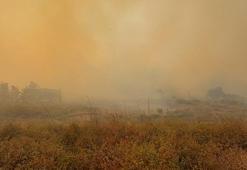 Kocaeli'deki orman yangını kontrol altında