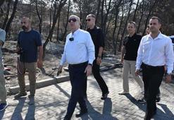 Ümit Özdağ: İzmir’deki yangınlar bal üretimini etkileyecek