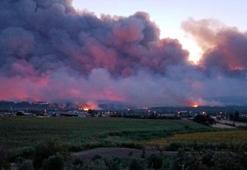 Tekirdağ'da orman yangını; alevler Çanakkale sınırına geçti