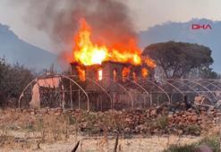 Çanakkale'de orman yangını; yanan köyden görüntüler