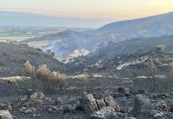 Çanakkale’deki orman yangını 2'nci günde; yanan alanlar dronla görüntülendi