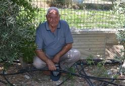 Bahçe sulama suyu kesilen emekli öğretmen, ağaçlarının kurumasından korkuyor